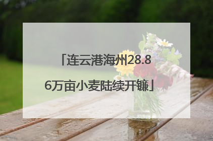 连云港海州28.86万亩小麦陆续开镰
