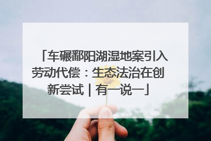 车碾鄱阳湖湿地案引入劳动代偿：生态法治在创新尝试｜有一说一