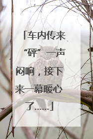 车内传来“砰”一声闷响，接下来一幕暖心了……