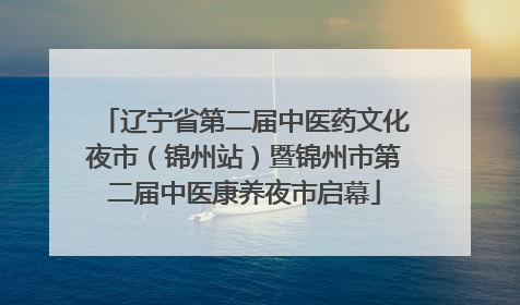 辽宁省第二届中医药文化夜市（锦州站）暨锦州市第二届中医康养夜市启幕