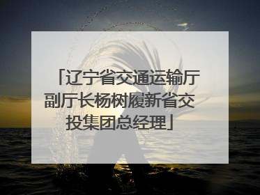 辽宁省交通运输厅副厅长杨树履新省交投集团总经理
