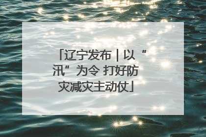 辽宁发布｜以“汛”为令 打好防灾减灾主动仗