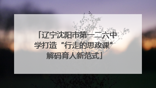 辽宁沈阳市第一二六中学打造“行走的思政课” 解码育人新范式