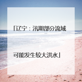 辽宁：汛期部分流域可能发生较大洪水