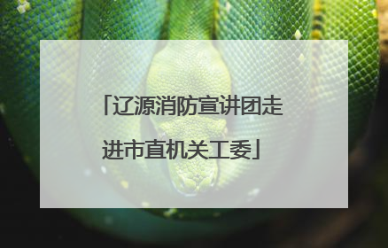 辽源消防宣讲团走进市直机关工委