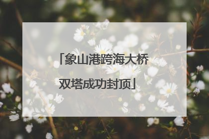 象山港跨海大桥双塔成功封顶