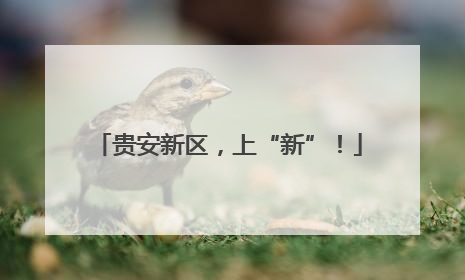 贵安新区，上“新”！