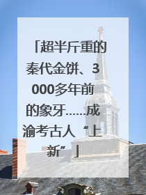 超半斤重的秦代金饼、3000多年前的象牙……成渝考古人“上新”