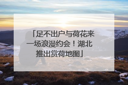 足不出户与荷花来一场浪漫约会！湖北推出赏荷地图