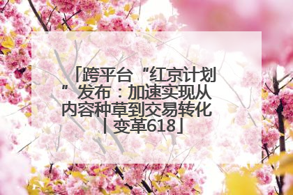 跨平台“红京计划”发布：加速实现从内容种草到交易转化丨变革618