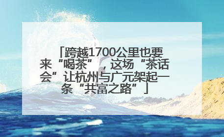 跨越1700公里也要来“喝茶”，这场“茶话会”让杭州与广元架起一条“共富之路”