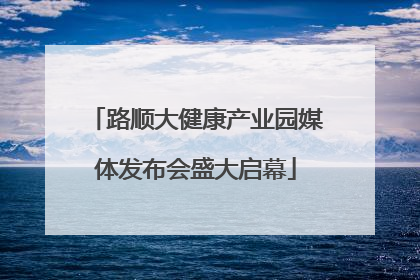 路顺大健康产业园媒体发布会盛大启幕