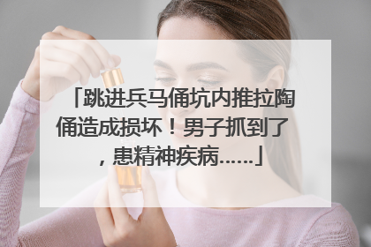 跳进兵马俑坑内推拉陶俑造成损坏！男子抓到了，患精神疾病……