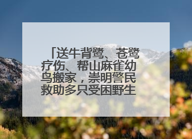 送牛背鹭、苍鹭疗伤、帮山麻雀幼鸟搬家，崇明警民救助多只受困野生保护鸟类
