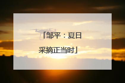 邹平：夏日采摘正当时
