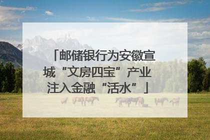 邮储银行为安徽宣城“文房四宝”产业注入金融“活水”