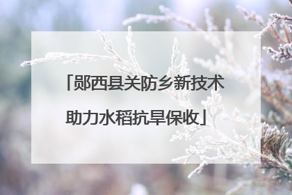 郧西县关防乡新技术助力水稻抗旱保收