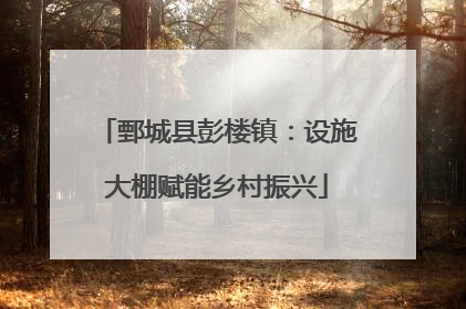 鄄城县彭楼镇：设施大棚赋能乡村振兴