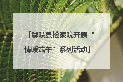 鄢陵县检察院开展“情暖端午”系列活动
