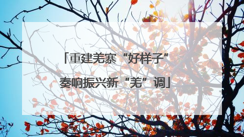 重建羌寨“好样子” 奏响振兴新“羌”调