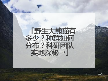 野生大熊猫有多少？种群如何分布？科研团队实地探秘→