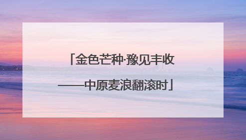金色芒种·豫见丰收——中原麦浪翻滚时