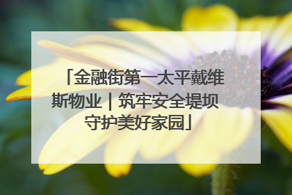 金融街第一太平戴维斯物业｜筑牢安全堤坝 守护美好家园