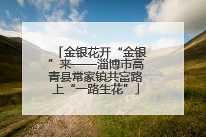 金银花开“金银”来——淄博市高青县常家镇共富路上“一路生花”