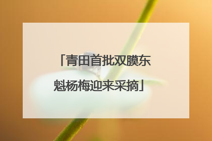 青田首批双膜东魁杨梅迎来采摘