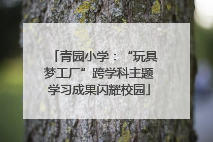 青园小学：“玩具梦工厂”跨学科主题学习成果闪耀校园