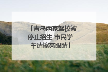 青岛两家驾校被停止招生 市民学车请擦亮眼睛