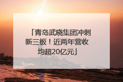 青岛武晓集团冲刺新三板！近两年营收均超20亿元