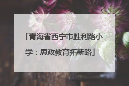 青海省西宁市胜利路小学：思政教育拓新路