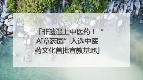 非遗遇上中医药！“AI草药园”入选中医药文化首批宣教基地