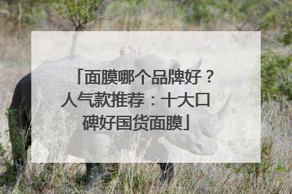 面膜哪个品牌好？人气款推荐：十大口碑好国货面膜