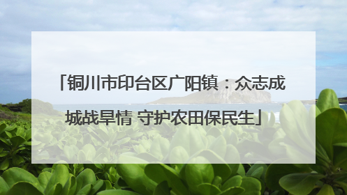 铜川市印台区广阳镇：众志成城战旱情 守护农田保民生