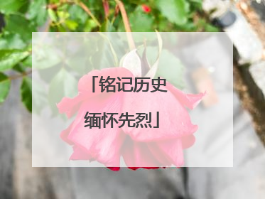 铭记历史 缅怀先烈
