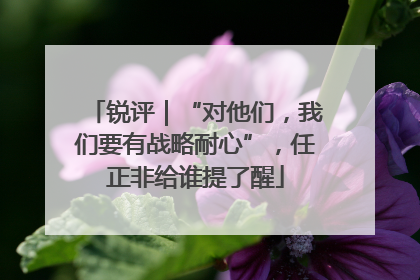 锐评｜“对他们，我们要有战略耐心”，任正非给谁提了醒