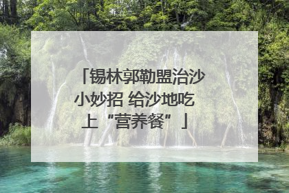 锡林郭勒盟治沙小妙招 给沙地吃上“营养餐”