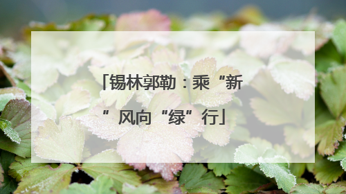 锡林郭勒：乘“新”风向“绿”行