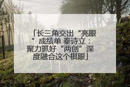 长三角交出“亮眼”成绩单 秦诗立：聚力抓好“两创”深度融合这个棋眼