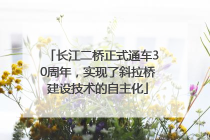长江二桥正式通车30周年，实现了斜拉桥建设技术的自主化