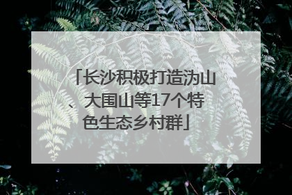 长沙积极打造沩山、大围山等17个特色生态乡村群
