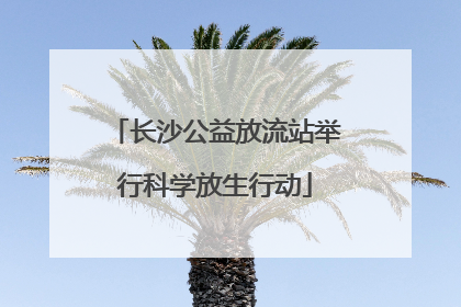 长沙公益放流站举行科学放生行动