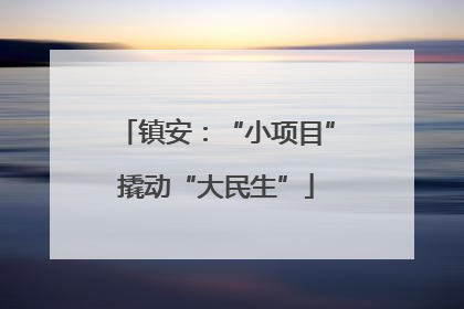 镇安：“小项目”撬动“大民生”