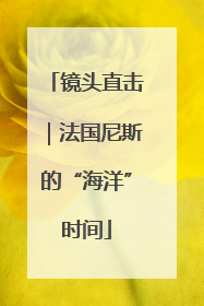 镜头直击｜法国尼斯的“海洋”时间