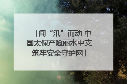闻“汛”而动 中国太保产险丽水中支筑牢安全守护网