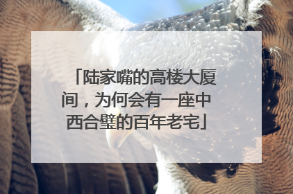 陆家嘴的高楼大厦间，为何会有一座中西合璧的百年老宅
