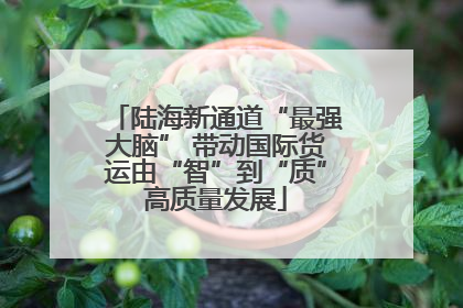 陆海新通道“最强大脑” 带动国际货运由“智”到“质”高质量发展