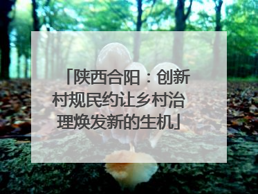 陕西合阳：创新村规民约让乡村治理焕发新的生机